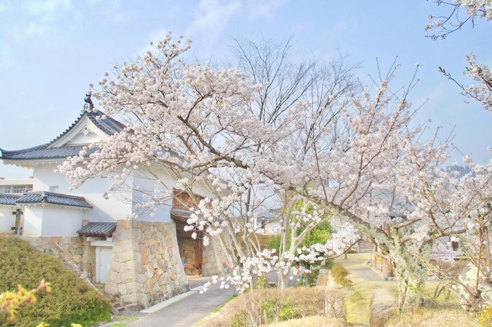 古民家の宿宰嘉庵 Traditionaljapanisehotel Saikaan Maizuru Bagian luar foto