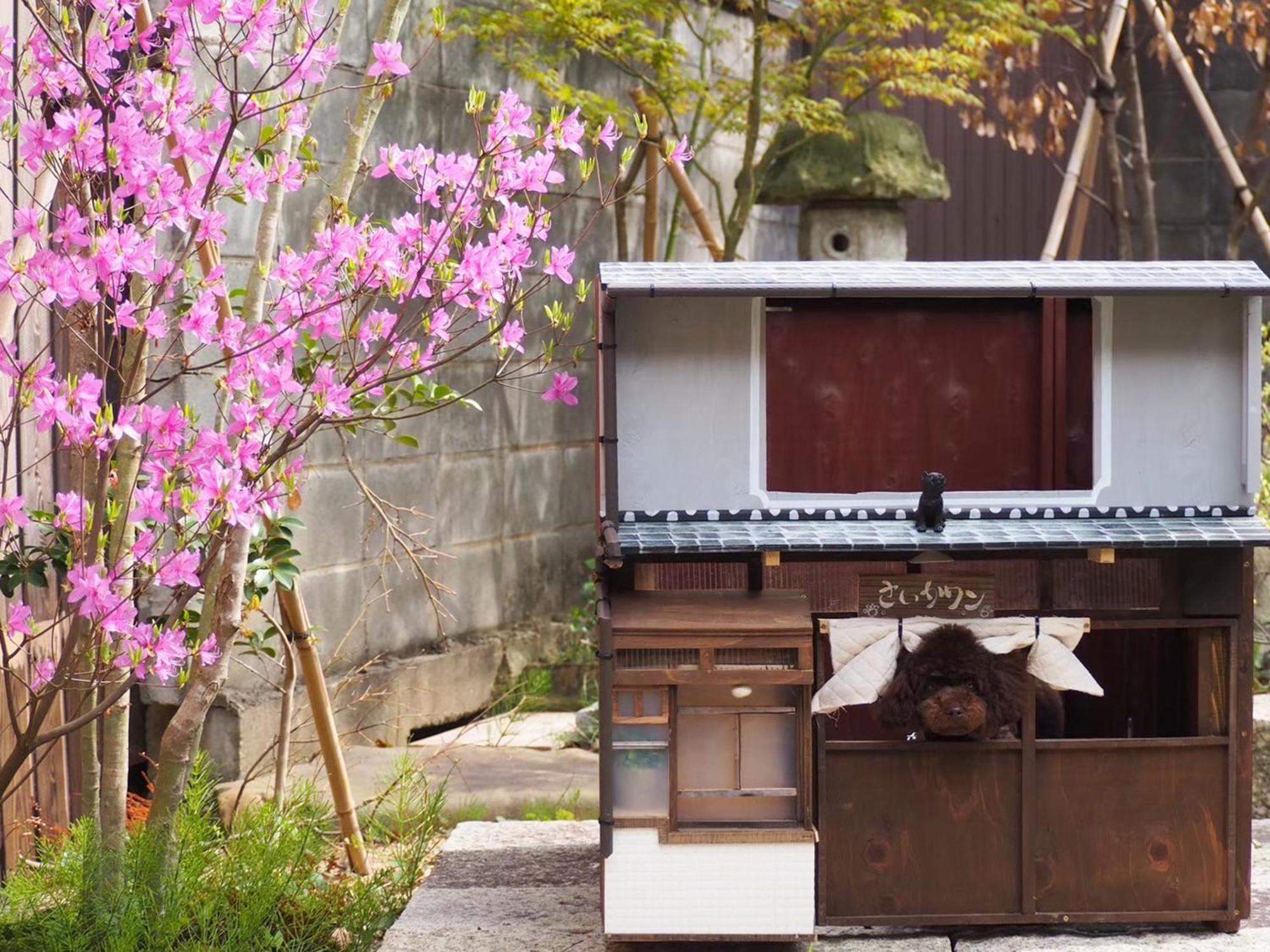 古民家の宿宰嘉庵 Traditionaljapanisehotel Saikaan Maizuru Bagian luar foto