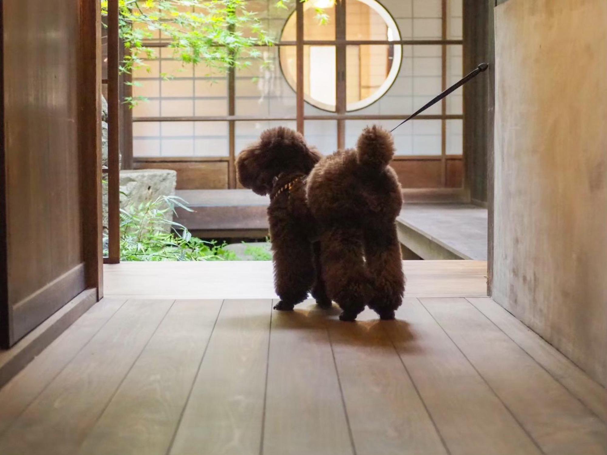 古民家の宿宰嘉庵 Traditionaljapanisehotel Saikaan Maizuru Bagian luar foto